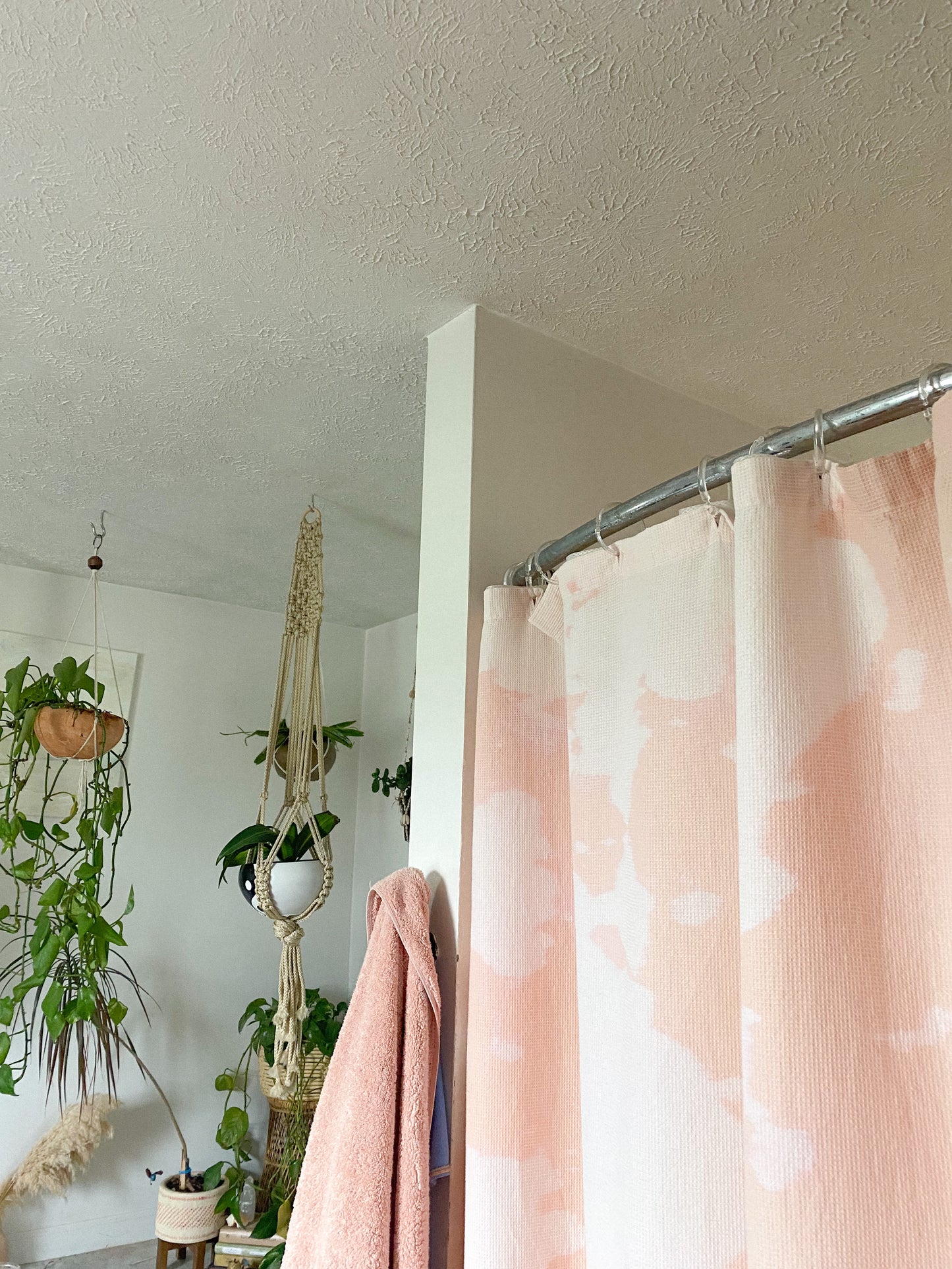 The Shower Curtain